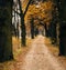 Path near ponds with autumn foliage tunnel