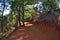 The path of the ochre near Roussillon,France