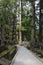 A path through the Okunoin ancient Buddhist cemetery in Koyasan, Japan.