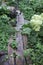 A path of old planks in the garden