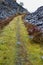 Path between old slate spoil heaps