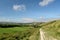 Path over Ballard Down above Corfe in Dorset