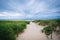 Path over sand dunes at Race Point, in the Province Lands at Cap