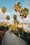 Path and palm trees on cliffs at Heisler Park, Laguna Beach, Orange County, California