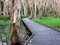 Path in paperbark swamp