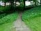 Path in park