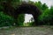 A path in a park with an alley decorated with greenery