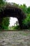 A path in a park with an alley decorated with greenery