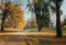 Path in the Park is covered with yellow fallen autumn leaves, Park in autumn, trees, Catholic chapel in the Gothic style in the