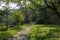 Path in the park of Lambro valley, Brianza, Italy