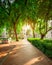 Path in park beside the road in the city. Green tree in garden in the morning. Car parking area for rental in Singapore. A man