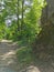 A path past a boulder fence with trees growing on it in the rocky natural park Monrepos of the city of Vyborg on a clear summer