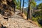 Path pathway way Indian Himalaya mountain trekking trail