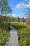 Path through the peatbog