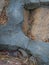 Path of plated stones with cement in Garden. Meditative stone walkway. Garden architecture, pathway accessory