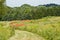 Path through the prairie at the park