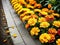 Path of Prosperity Marigolds Blooming in Diwali s Glow.AI Generated