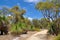 Path in Protected Australian Bushland