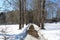 A path with puddles in the forest in early spring among the snow in sunny weather