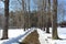 A path with puddles in the forest in early spring among the snow in sunny weather