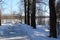 A path with puddles in the forest in early spring among the snow in sunny weather