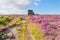 Path through purple moors to Mother Cap on Surprise View, Derbyshire.