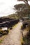 Path on Rangitoto Island