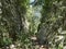 Path through the Regalon gorges with abundant vegetation