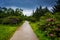 Path through the Roan Mountain Rhododendron Gardens, near Carver