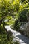 Path between the rockery and trees