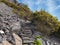 Path through rocks with gorse at the side