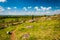 Path and rocks on Little Round Top, in Gettysburg, Pennsylvania.