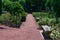 Path with Roses and Benches at the Merrick Rose Garden in Evanston Illinois