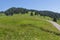 Path through rural mountain landscape in summer, near Walderalm, Austria, Tirol