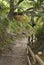 Path in San juan de Gaztelugatxe, Bilbao, Spain