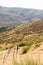 Path through the sand on the dune Sarykum in Dagestan