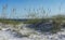 Path through the Sand Dunes and Sea Oats to the Gulf of Mexico Beach