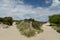 Path through sand dunes, Studland Nature Reserve