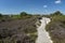 Path through sand dunes, Studland Nature Reserve