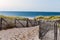 Path between sand fencing leading through sand and beach vegetation to sea