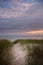 Path through sanddunes to beach