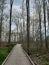 Path in Schmidt Woods