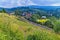 A path on a slope overgrown with grass and flowers leading to the railway below which makes a smooth turn around the