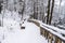 A path in a snow park