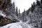 A path in the snowy forest