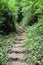 Path with soil stairs