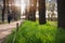 Path in the spring city park fresh green grass, nature in the urban landscape