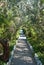 A path from stone slabs leads to the sea of the ocean among bushes and trees a wicker fence