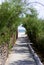 A path from stone slabs leads to the sea of the ocean among bushes and trees a wicker fence