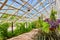 Path through stunning lush gardens with glass roof in greenhouse